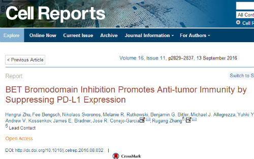 小分子药物BET抑制剂可有效抑制PD-L1