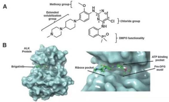 Brigatinib 的分子结构与作用机理（图片来源：《Clinical Cancer Research》）