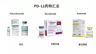 免疫治療PD-L1大盤點